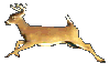 deer run Slack emoji