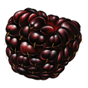 blackberry Slack emoji