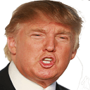 trumpwrong Slack emoji