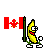 canadianflag bananadance Slack emoji