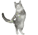 glowsticks dancingcat Slack emoji