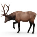 elk Slack emoji