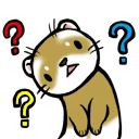 ferret confused Slack emoji