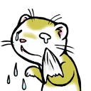 ferret cry Slack emoji