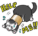 ferret help Slack emoji