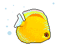tropical fish Slack emoji