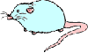 rat Slack emoji