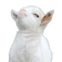smug goat Slack emoji