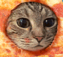 pizzacat Slack emoji