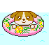 dog pool Slack emoji