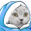 comfy cat Slack emoji