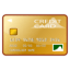 gold card Slack emoji