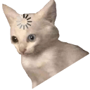 catmeme loading Slack emoji