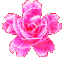 trippy flower Slack emoji