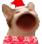 popcat xmas Slack emoji