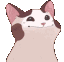 popcat animated Slack emoji