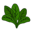 spinach Slack emoji