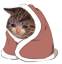 cozy kitty Slack emoji