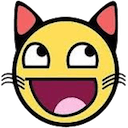 awesome cat Slack emoji