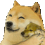 doge hug Slack emoji