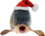 christmas fish Slack emoji