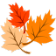 leaves Slack emoji