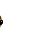 porcupine mushroom Slack emoji