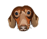licking dog Slack emoji