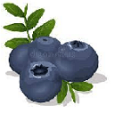 huckleberry Slack emoji