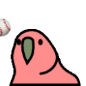 play catch parrot Slack emoji