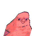 annoyed bird party Slack emoji