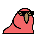 conga party parrot Slack emoji