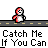 catch me if you can Slack emoji
