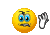 flies Slack emoji