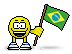 brazilian flag Slack emoji
