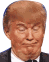 covfefe Slack emoji