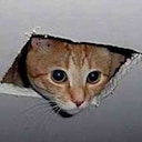 ceilingcat Slack emoji