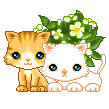 kitties Slack emoji
