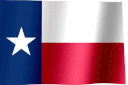 texas flag waving Slack emoji