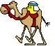 camel ride Slack emoji
