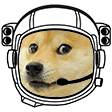 space doge Slack emoji