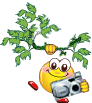 paparazzi tree Slack emoji