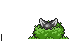 little red ridinghood Slack emoji