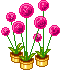 potted flowers Slack emoji