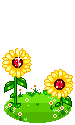 sunflowers Slack emoji