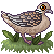 turtle dove Slack emoji