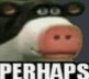 penguin skeptical look Slack emoji