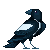 magpie Slack emoji