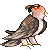 bearded vulture Slack emoji