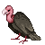 vulture Slack emoji